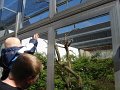 zoo 021